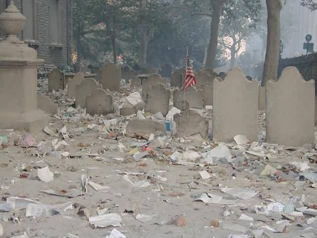 tradectr290.jpg 
640 x 480 JPEG-compressed image 
(35,437 bytes)