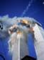 Preview of: 
tradectr107.jpg 
443 x 600 JPEG-compressed image 
(27,471 bytes)