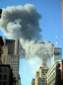 Preview of: 
tradectr117.jpg 
450 x 600 JPEG-compressed image 
(23,018 bytes)