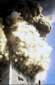 Preview of: 
tradectr124.jpg 
397 x 609 JPEG-compressed image 
(29,966 bytes)