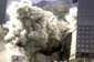 Preview of: 
tradectr173.jpg 
450 x 300 JPEG-compressed image 
(13,302 bytes)