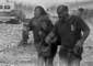 Preview of: 
tradectr197.jpg 
640 x 459 JPEG-compressed image 
(31,818 bytes)