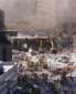 Preview of: 
tradectr228.jpg 
370 x 450 JPEG-compressed image 
(30,292 bytes)