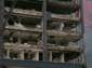 Preview of: 
tradectr232.jpg 
1,024 x 768 JPEG-compressed image 
(74,104 bytes)