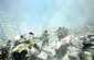 Preview of: 
tradectr248.jpg 
664 x 432 JPEG-compressed image 
(28,416 bytes)