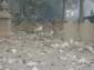 Preview of: 
tradectr290.jpg 
640 x 480 JPEG-compressed image 
(35,437 bytes)