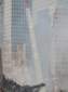 Preview of: 
tradectr317.jpg 
500 x 667 JPEG-compressed image 
(21,965 bytes)