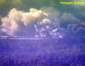 Preview of: 
tradectr349.jpg 
512 x 398 JPEG-compressed image 
(26,314 bytes)