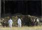 Preview of: 
tradectr389.jpg 
333 x 240 JPEG-compressed image 
(11,895 bytes)
