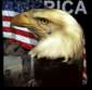 Preview of: 
tradectr412.jpg 
448 x 440 JPEG-compressed image 
(19,925 bytes)