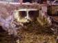 Preview of: 
tradectr421.jpg 
500 x 375 JPEG-compressed image 
(39,700 bytes)