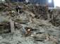 Preview of: 
tradectr429.jpg 
500 x 375 JPEG-compressed image 
(44,515 bytes)