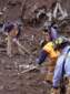 Preview of: 
tradectr433.jpg 
375 x 500 JPEG-compressed image 
(38,228 bytes)