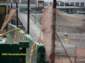 Preview of: 
tradectr500.jpg 
800 x 600 JPEG-compressed image 
(60,356 bytes)