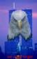 Preview of: 
tradectr506.jpg 
369 x 576 JPEG-compressed image 
(16,815 bytes)